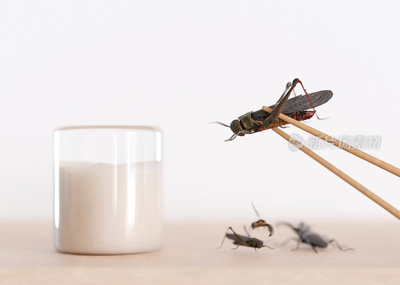 可食用昆虫。蟋蟀是很好的蛋白质来源。食虫学，昆虫学的概念。油炸昆虫。特写视图。3 d渲染。